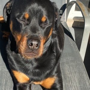 Meet your Posher, Liz